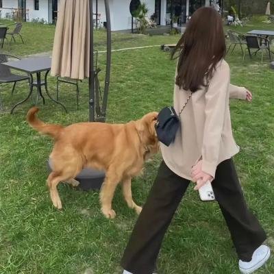 双面名模