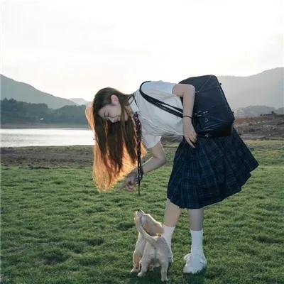 菜鸟先生